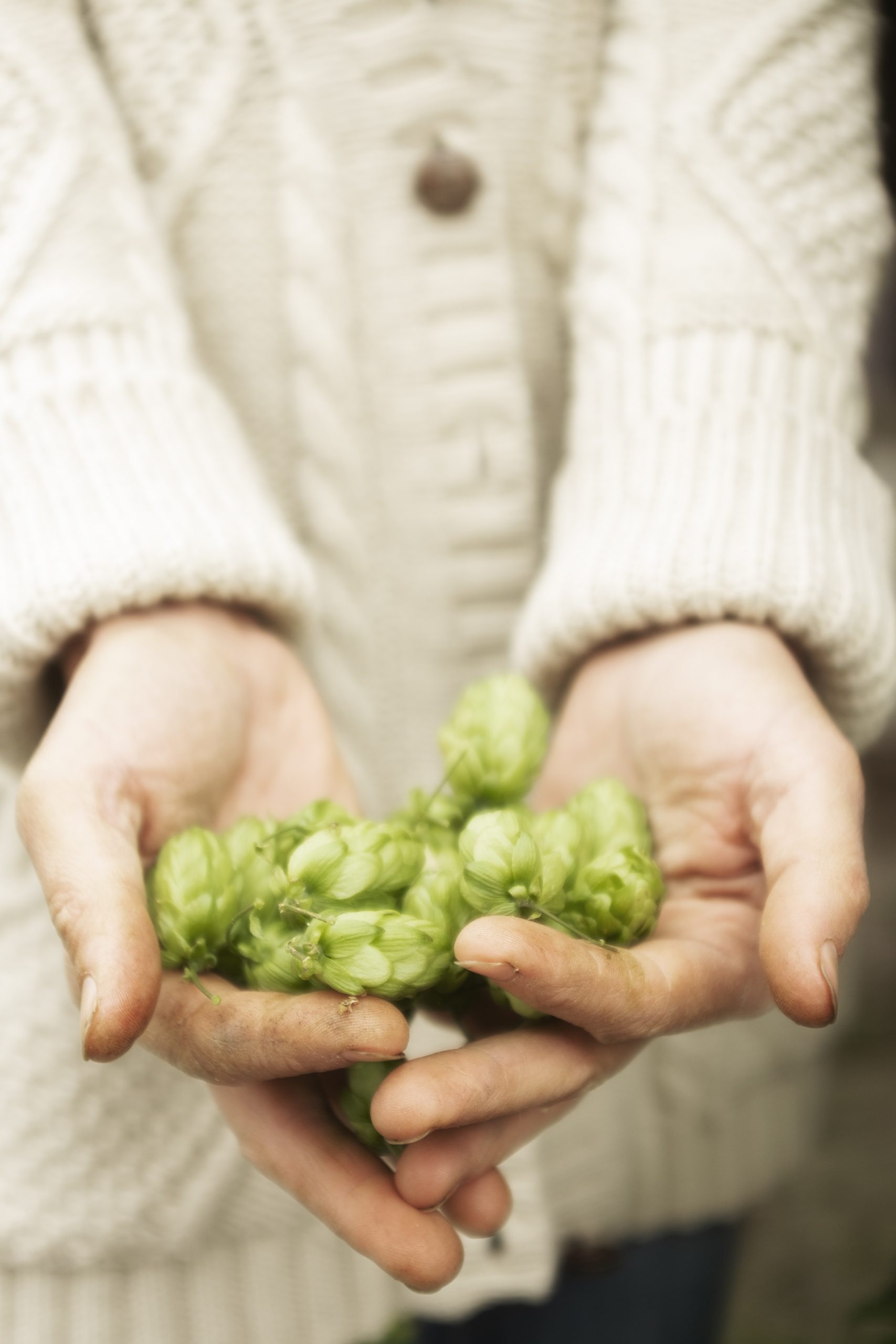 Rencontre avec Morphée – Image 3