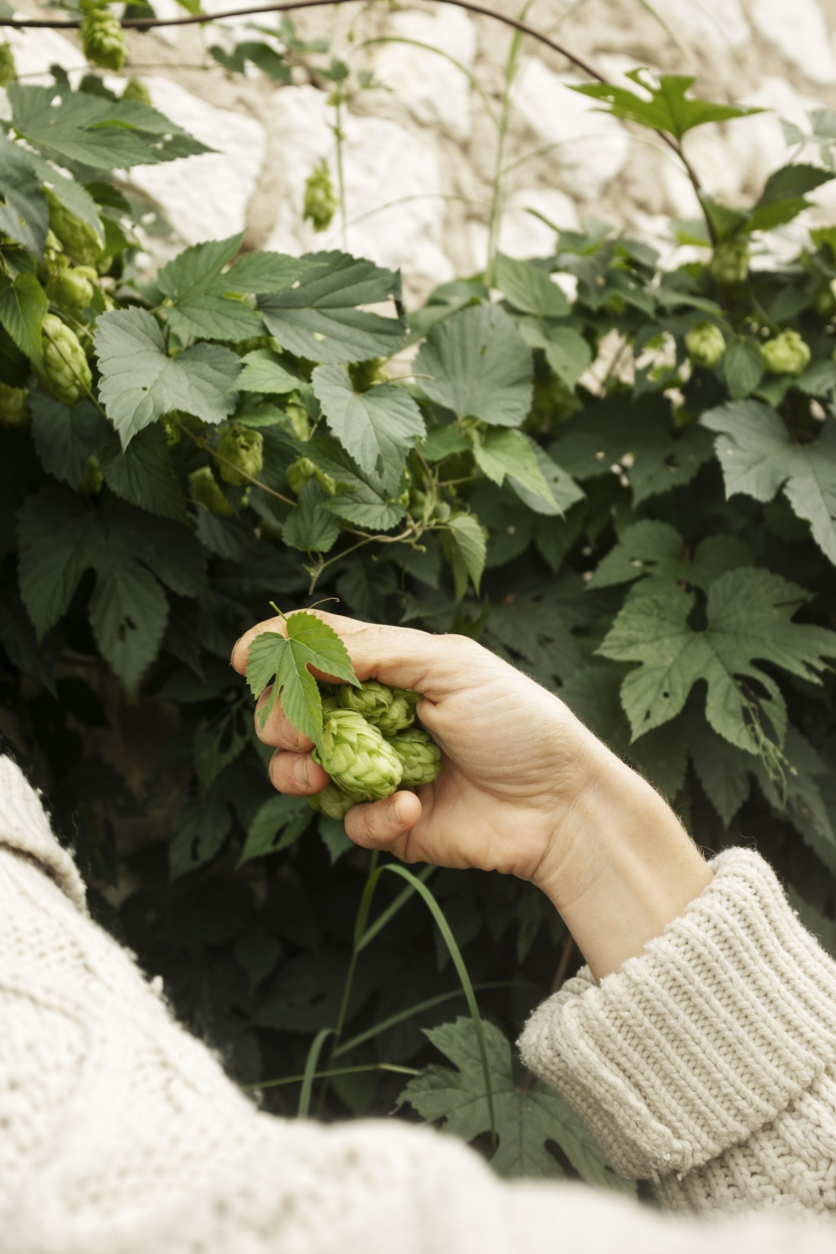 Rencontre avec Morphée