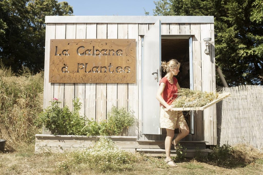 le séchoir de la cabane à plantes