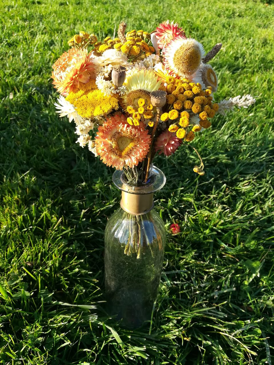 Bouquet de fleurs sèches orange