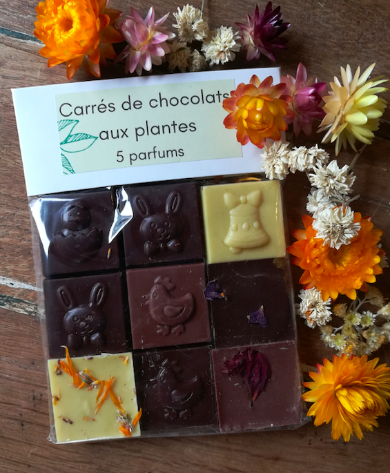 carrés de chocolat aux plantes