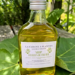 Sirop de Feuille de Figuier